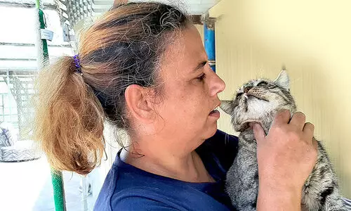 മി​ഷ​ല്‍: മി​ണ്ടാ​പ്രാ​ണി​ക​ളു​ടെ കൂ​ട്ടു​കാ​രി