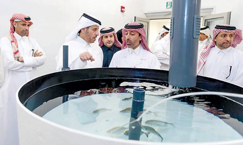 ഭ​ക്ഷ്യ​സു​ര​ക്ഷ പ​ദ്ധ​തി: ക​ഴി​ഞ്ഞ വ​ർ​ഷം ഉ​ൽ​പാ​ദി​പ്പി​ച്ച​ത് 15,087 ട​ൺ മ​ത്സ്യം