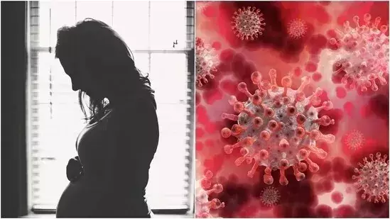 ഗർഭിണികളിൽ കോവിഡ് ഗുരുതര പ്രത്യാഘാതമുണ്ടാക്കുമെന്ന് പഠനം ഗർഭിണികളിൽ കോവിഡ് ഗുരുതര പ്രത്യാഘാതമുണ്ടാക്കുമെന്ന് പഠനം