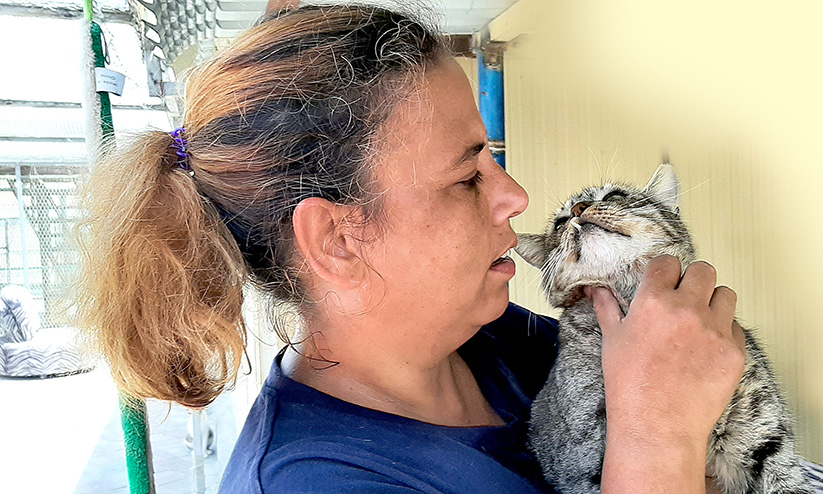 മിഷല്: മിണ്ടാപ്രാണികളുടെ കൂട്ടുകാരി മിഷല്: മിണ്ടാപ്രാണികളുടെ കൂട്ടുകാരി