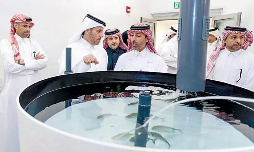 ഭക്ഷ്യസുരക്ഷ പദ്ധതി: കഴിഞ്ഞ വർഷം ഉൽപാദിപ്പിച്ചത് 15,087 ടൺ മത്സ്യം ഭക്ഷ്യസുരക്ഷ പദ്ധതി: കഴിഞ്ഞ വർഷം ഉൽപാദിപ്പിച്ചത് 15,087 ടൺ മത്സ്യം