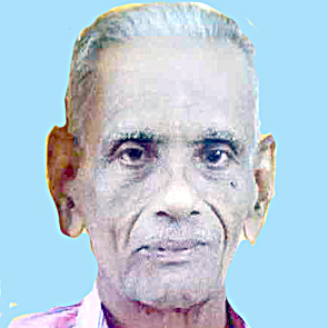 ഗോ​പാ​ല​കൃ​ഷ്ണ പി​ള്ള