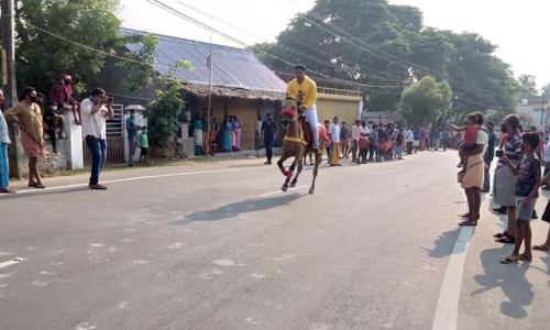 പാലക്കാട്​ കോവിഡ്​ മാനദണ്ഡങ്ങൾ ലംഘിച്ച്​ കുതിരയോട്ടം; പൊലീസ്​ ​കേസെടുത്തു