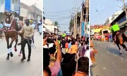 കോവിഡ് മാനദണ്ഡം കാറ്റിൽപറത്തി ചിറ്റൂരിൽ കുതിരയോട്ടം, നടന്നത്​ അങ്ങാടി വേല ഉത്സവത്തോടനുബന്ധിച്ച്​