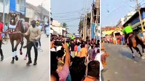 കോവിഡ് മാനദണ്ഡം കാറ്റിൽപറത്തി ചിറ്റൂരിൽ കുതിരയോട്ടം, നടന്നത് അങ്ങാടി വേല ഉത്സവത്തോടനുബന്ധിച്ച് കോവിഡ് മാനദണ്ഡം കാറ്റിൽപറത്തി ചിറ്റൂരിൽ കുതിരയോട്ടം, നടന്നത് അങ്ങാടി വേല ഉത്സവത്തോടനുബന്ധിച്ച്