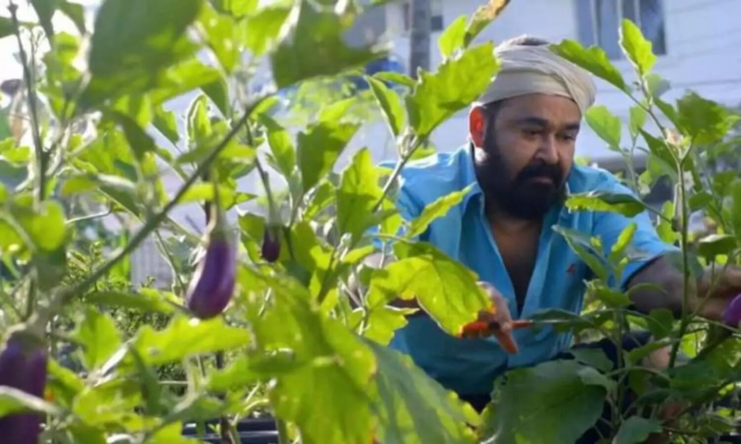 തനി കർഷകനായി മോഹന്‍ലാല്‍; ജൈവകൃഷി വിഡിയോ ഏറ്റെടുത്ത്​ ആരാധകർ