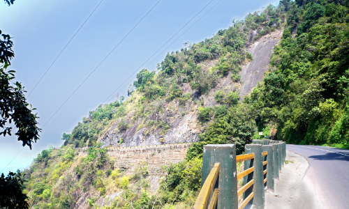 വീട്ടിലിരുന്ന് വയനാട് വീട്ടിലിരുന്ന് വയനാട്