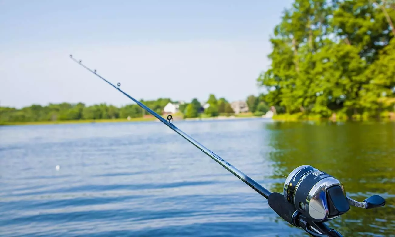 ക്ഷേത്രമത്സ്യങ്ങളെ ചൂണ്ടയിട്ട് പിടികൂടാൻ ശ്രമം: അന്വേഷണം ആരംഭിച്ചു ക്ഷേത്രമത്സ്യങ്ങളെ ചൂണ്ടയിട്ട് പിടികൂടാൻ ശ്രമം: അന്വേഷണം ആരംഭിച്ചു