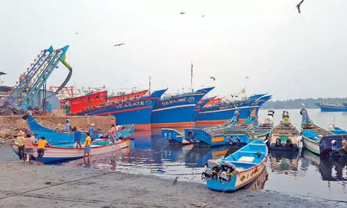 boats in beypore fishing harbour
