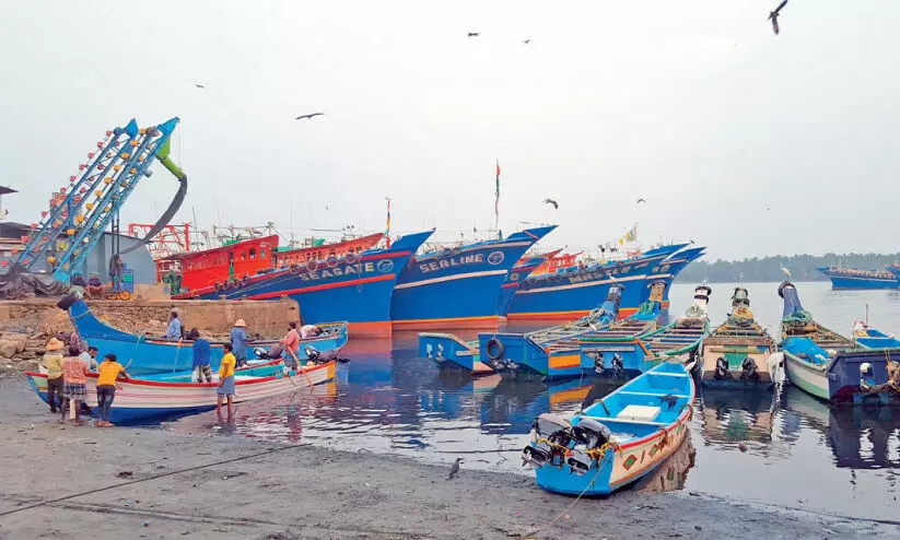 boats in beypore fishing harbour boats in beypore fishing harbour