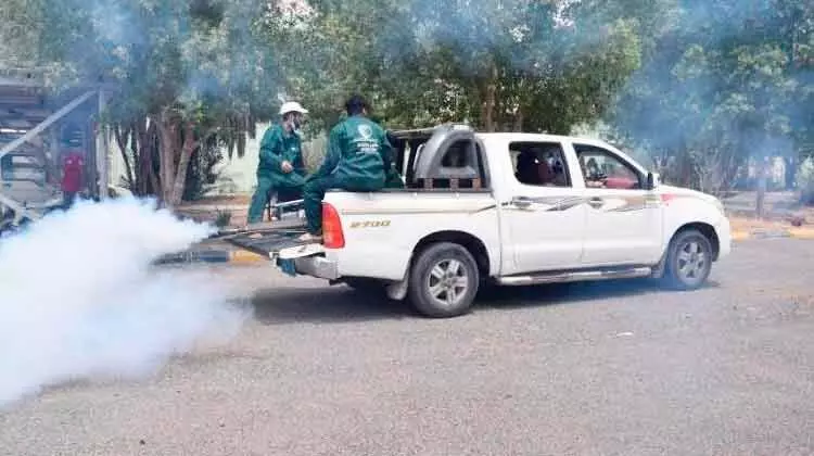 മലമ്പനി ചെറുക്കാൻ സൗദിയുടെ നടപടികൾ ആഗോള ശ്രദ്ധ നേടുന്നു മലമ്പനി ചെറുക്കാൻ സൗദിയുടെ നടപടികൾ ആഗോള ശ്രദ്ധ നേടുന്നു