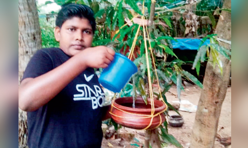 child give water for birds
