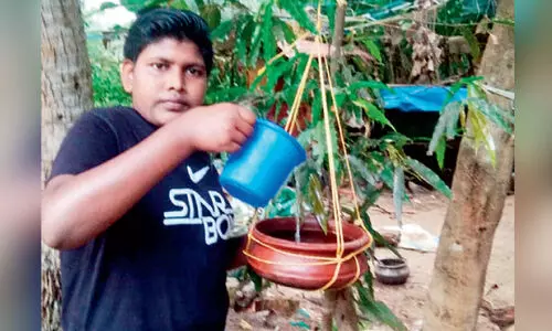 child give water for birds