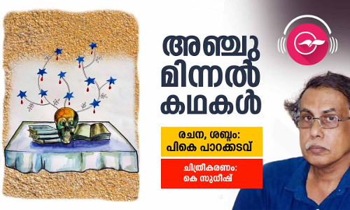 അഞ്ചു മിന്നൽ കഥകൾ