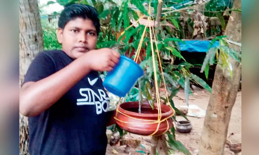 child give water for birds child give water for birds