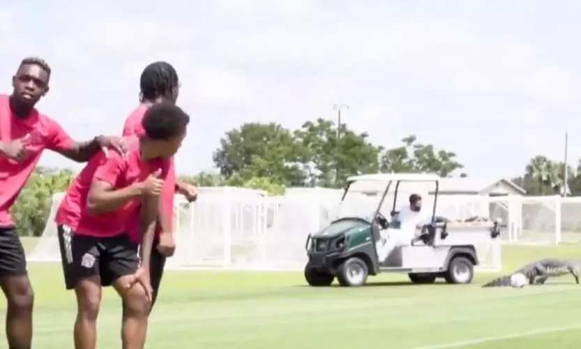 താരങ്ങൾക്കൊപ്പം പന്തുതട്ടാൻ കൂറ്റൻ ചീങ്കണ്ണിയും; പിന്നെ സംഭവിച്ചത് ഇതാണ്... വീഡിയോ കാണാം താരങ്ങൾക്കൊപ്പം പന്തുതട്ടാൻ കൂറ്റൻ ചീങ്കണ്ണിയും; പിന്നെ സംഭവിച്ചത് ഇതാണ്... വീഡിയോ കാണാം