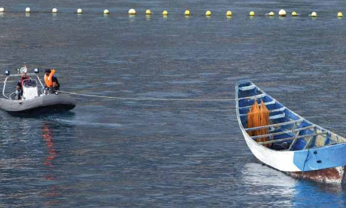 ആഫ്രിക്കൻ കുടിയേറ്റക്കാരുടെ ബോട്ടിൽ 24 പേർ ഭക്ഷണമില്ലാതെ മരിച്ചനിലയിൽ ആഫ്രിക്കൻ കുടിയേറ്റക്കാരുടെ ബോട്ടിൽ 24 പേർ ഭക്ഷണമില്ലാതെ മരിച്ചനിലയിൽ