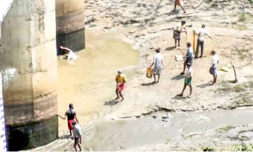 fishing in kallar dam