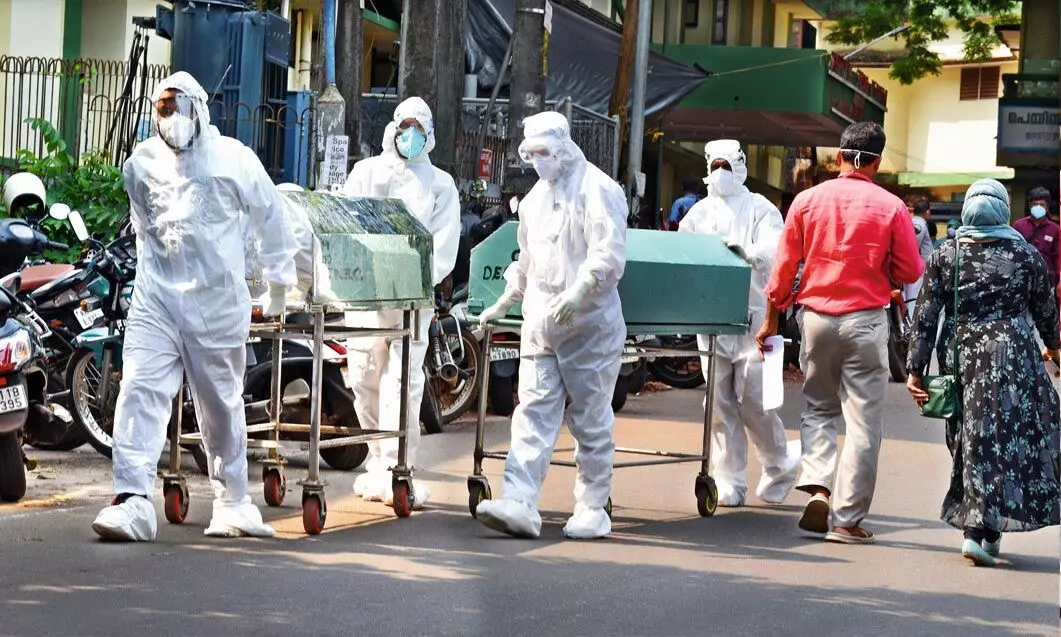 covid death covid death