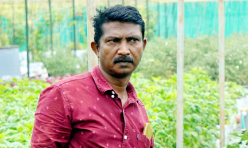 മൊട്ടക്കുന്നിലും കൃഷി വിജയിപ്പിച്ച്​ ഷംസുധീർ ദാസ്​