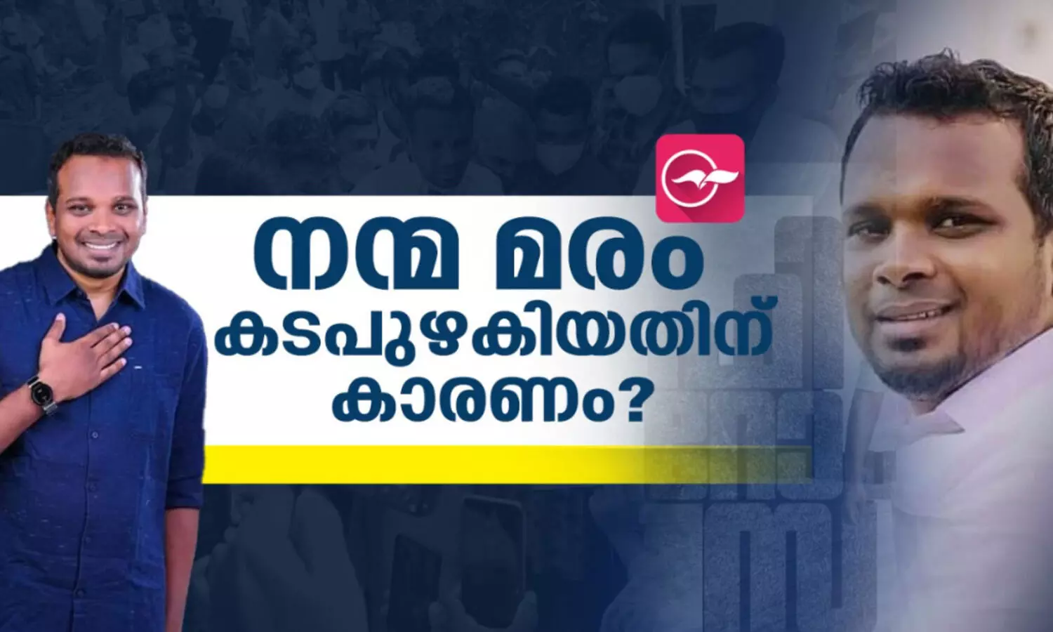 നന്മമരം കടപുഴകതിന്റെ കാരണം ?