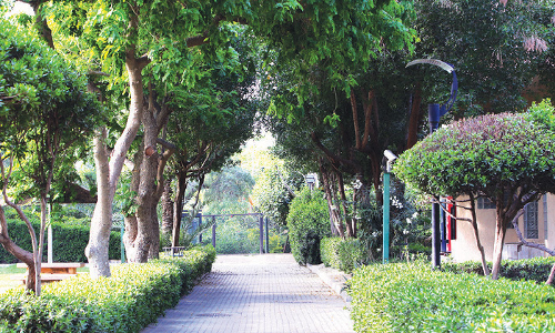 അ​ട​ച്ചി​ട്ട്​ ഒ​രു വ​ർ​ഷ​ത്തി​ലേ​റെ; ആ​ള​ന​ക്ക​മി​ല്ലാ​തെ മൃ​ഗ​ശാ​ല