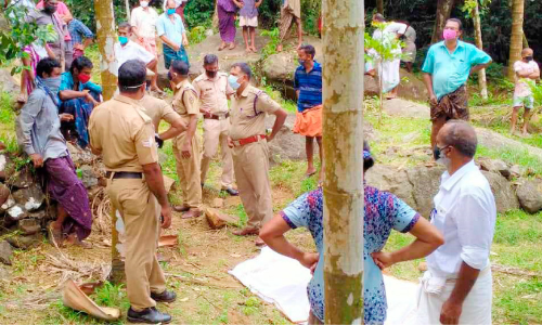 കാട്ടാനയുടെ ആക്രമണത്തിൽ മരണം: പ്രതിഷേധവുമായി നാട്ടുകാർ
