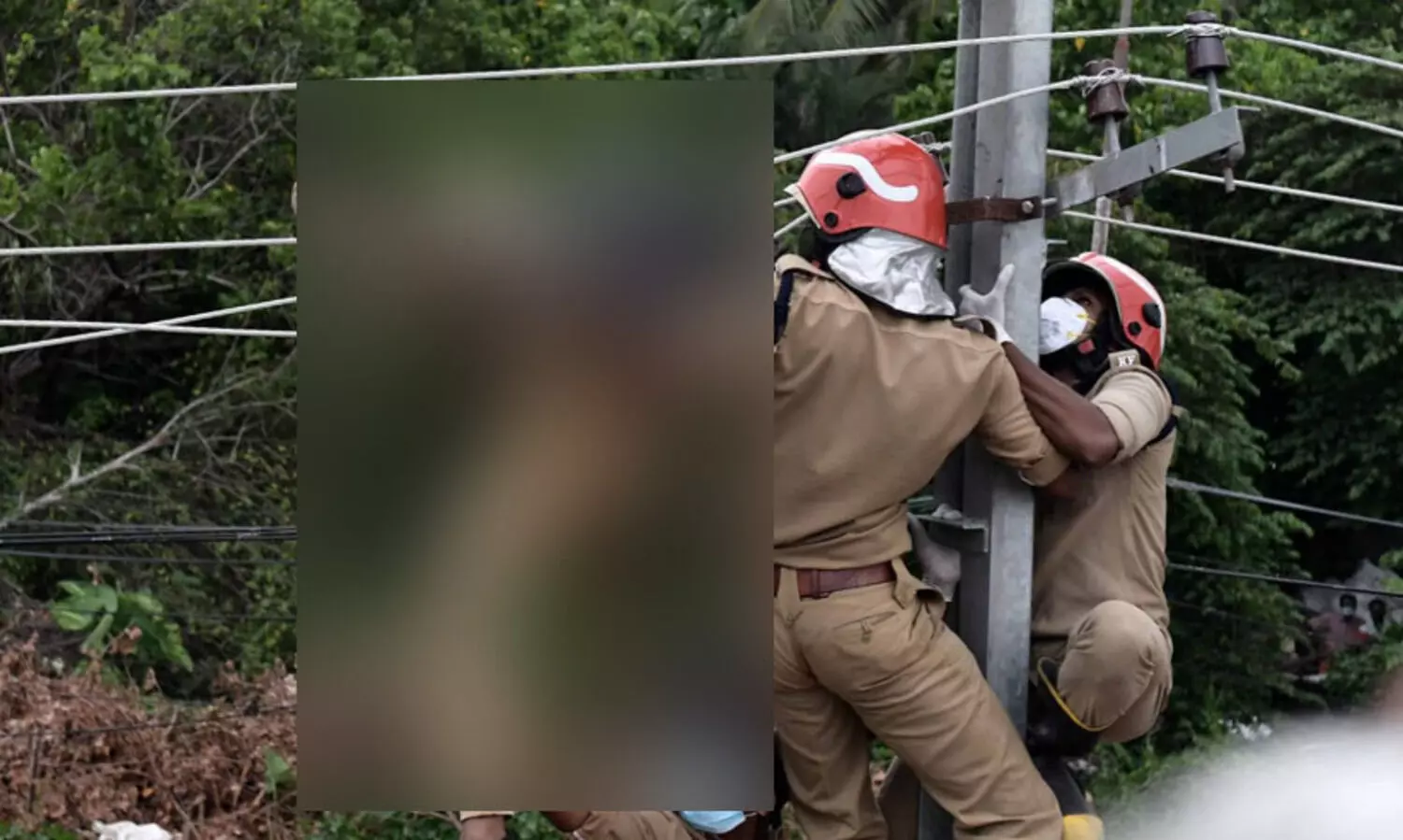 കഞ്ചാവുമായി പിടിയിലായി; പൊലീസിന്‍റെ കണ്ണുവെട്ടിച്ച് വൈദ്യുതി തൂണിൽ ഓടിക്കയറിയ യുവാവ് ഷോക്കേറ്റ് മരിച്ചു