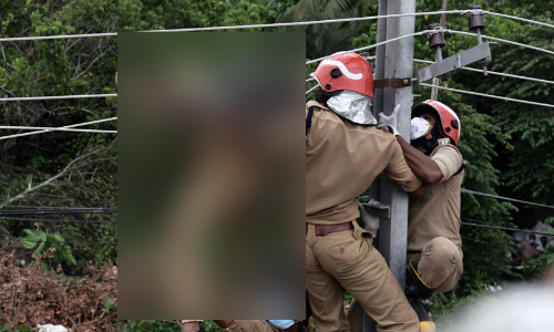 കഞ്ചാവുമായി പിടിയിലായി; പൊലീസിന്‍റെ കണ്ണുവെട്ടിച്ച് വൈദ്യുതി തൂണിൽ ഓടിക്കയറിയ യുവാവ് ഷോക്കേറ്റ് മരിച്ചു