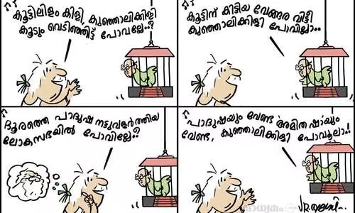 കുഞ്ഞാലിക്കിളി