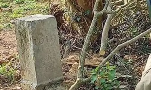 Farmer moves international border marker to make
