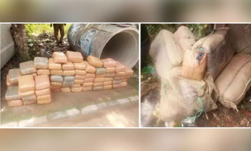 വാട്ടർ അതോറിറ്റിയുടെ പൈപ്പുകൾക്കുള്ളിൽ ചാക്കിൽ പൊതിഞ്ഞ് കഞ്ചാവ് കടത്ത്; മൂന്നുപേർ പിടിയിൽ വാട്ടർ അതോറിറ്റിയുടെ പൈപ്പുകൾക്കുള്ളിൽ ചാക്കിൽ പൊതിഞ്ഞ് കഞ്ചാവ് കടത്ത്; മൂന്നുപേർ പിടിയിൽ