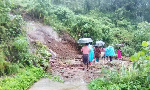 പുനരധിവാസം എങ്ങുമെത്തിയില്ല, മഴപ്പേടിയിൽ വാളാരംകുന്ന് മല