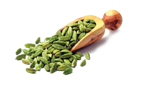 ഇ-ലേലം മുടങ്ങി; ഏലക്ക വിറ്റഴിക്കാൻ കഴിയാതെ കർഷകർ