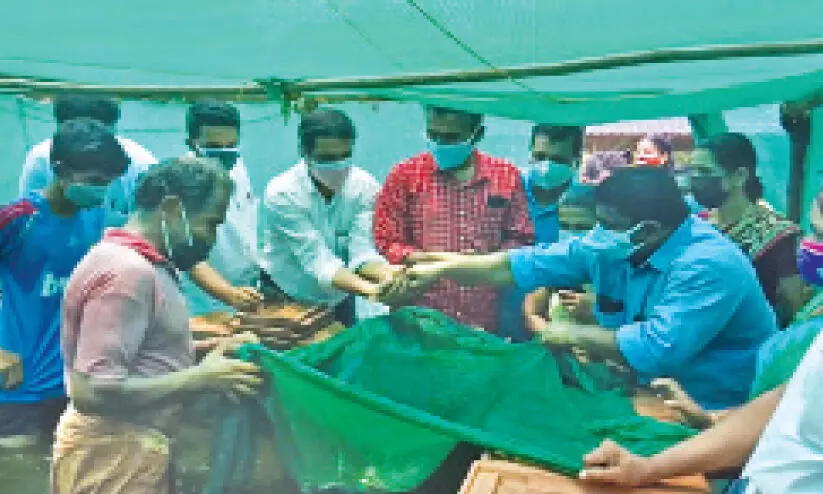 മത്സ്യകൃഷിയിൽ മോഹന​െൻറ വിജയഗാഥ