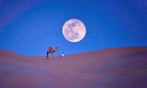 വാനവിസ്​മയങ്ങളുമായി അറേബ്യൻ രാവുകൾ