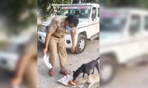 വിശന്നുവലഞ്ഞ നായ്​ക്കൾക്ക്​ ആഹാരമെത്തിച്ച്​ നിയമപാലകൻ