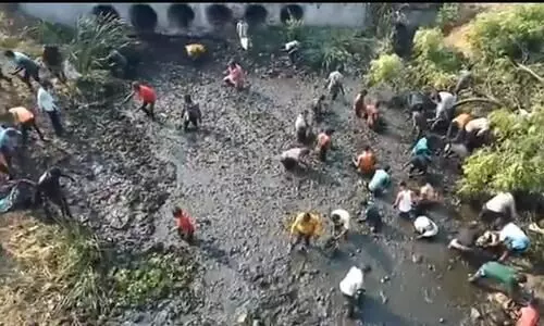 /india/truck-carrying-live-fish-topples-in-solapurlocals-go-into-looting-frenzy-795408