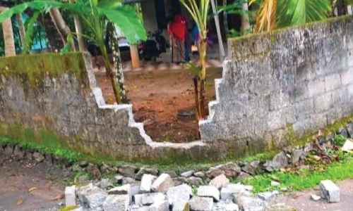 പാലപ്പിള്ളിയിൽ കാട്ടാനകൾ ഭീതിപടർത്തി; ഭയന്നോടിയ തോട്ടം തൊഴിലാളിക്ക് പരിക്ക് പാലപ്പിള്ളിയിൽ കാട്ടാനകൾ ഭീതിപടർത്തി; ഭയന്നോടിയ തോട്ടം തൊഴിലാളിക്ക് പരിക്ക്