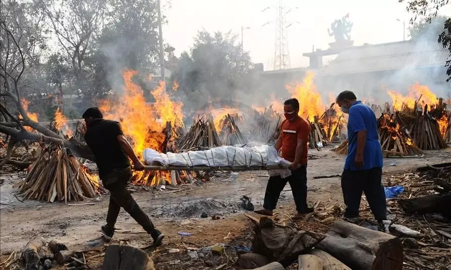 covid death covid death