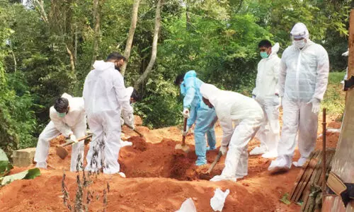 youth league white guards