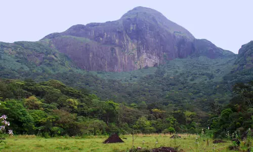 അഗസ്ത്യാര്‍കൂടം ട്രക്കിങ്​: ഇന്നുമുതല്‍ 26 വരെ സന്ദര്‍ശകര്‍ക്ക് പ്രവേശനമില്ല