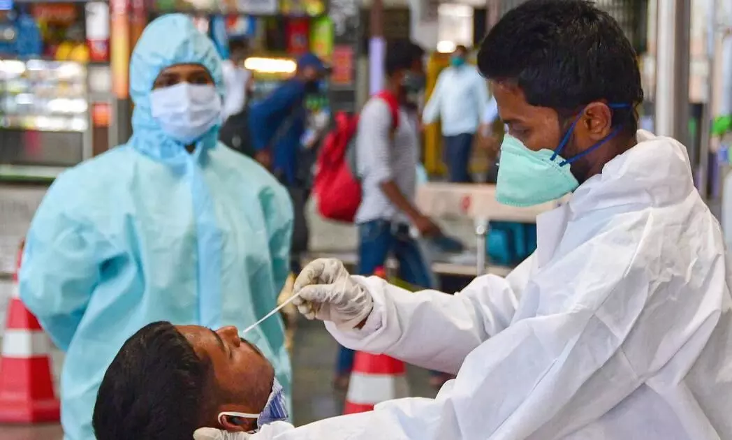 Covid 19 Swab Collection Covid 19 Swab Collection