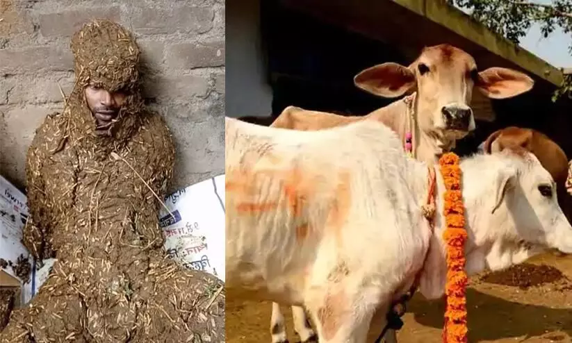 Gujarat Covid Centre Set Up Within Gaushala Medicines from Cow Milk, Urine to Beat Virus