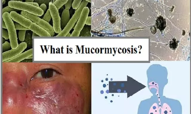 infoclinicindia Health & Wellness Website covid