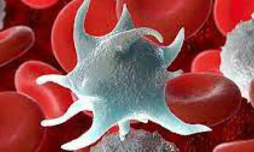 പ്ലേ​റ്റ്​​ല​റ്റ്​ ക്ഷാ​മം: ദാ​താ​ക്ക​ൾ​ക്ക്​ 20 ദീ​നാ​റും സ​മ്മാ​ന​വും വാ​ഗ്​​ദാ​നം ചെ​യ്​​ത്​ ര​ക്ത​ബാ​ങ്ക്​