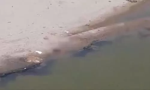 Dozens of bodies float in Yamuna in UP, locals in Hamirpur panic fearing Covid