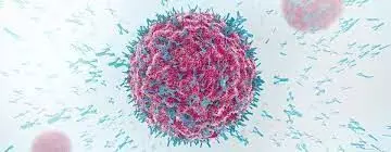 രാജ്യത്ത്​ ജനസംഖ്യയുടെ മൂന്നിൽ രണ്ടും കോവിഡ്​ ആൻറിബോഡി ആർജിച്ചതായി ഐ.സി.എം.ആർ സർവേ; സംസ്​ഥാനങ്ങളിൽ ഏറ്റവും മുന്നിൽ മധ്യപ്രദേശ്​, പിറകിൽ കേരളം