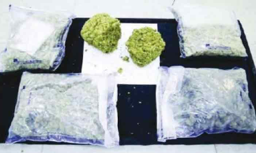 അ​മേ​രി​ക്ക​യി​ൽ​നി​ന്ന്​ വ​ന്ന പാ​ർ​സ​ലി​ൽ മ​യ​ക്കു​മ​രു​ന്ന്​