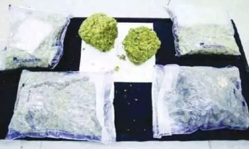 അ​മേ​രി​ക്ക​യി​ൽ​നി​ന്ന്​ വ​ന്ന പാ​ർ​സ​ലി​ൽ മ​യ​ക്കു​മ​രു​ന്ന്​